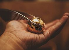 a person holding a comb in their hand with a golden beetle on it's head