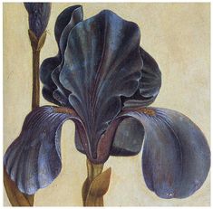 an image of a painting of a flower