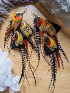 three pairs of colorful feathers are sitting on a table