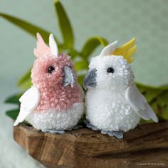 two small white and pink birds sitting next to each other on a wooden board with green leaves in the background