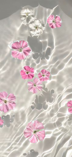 some pink and white flowers floating in water