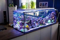 a fish tank is sitting on top of a counter in the middle of a room