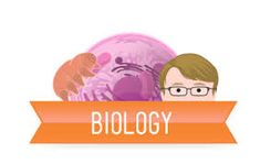 a man with glasses is standing in front of an orange ribbon that says, biology