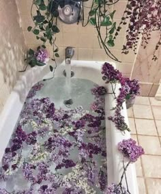 the bathtub is filled with purple flowers