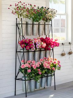 a rack filled with potted flowers next to a window