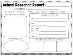 an animal research report for students