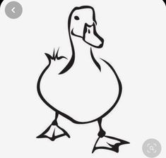 a black and white drawing of a duck with its head turned to the side,