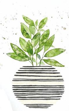 a painting of a potted plant with green leaves in it's center, on a white background