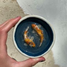 a person holding a bowl with two koi fish in it's bottom half