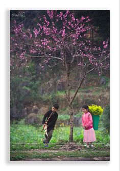 a man and woman standing next to a tree with pink flowers on it's branches