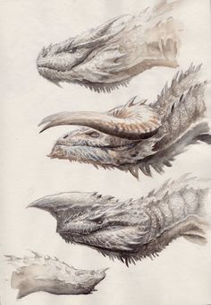 three drawings of different types of dragon heads