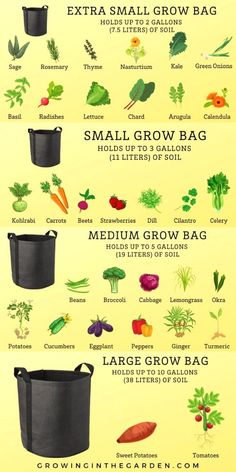 a poster showing different types of vegetables and how to use them in the garden, including carrots