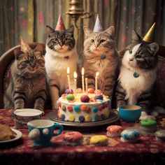 three cats sitting in front of a birthday cake