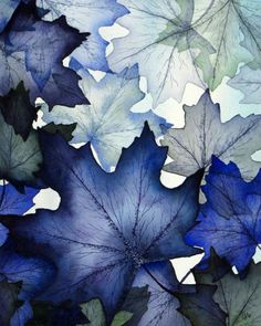 a card with blue and white leaves on it