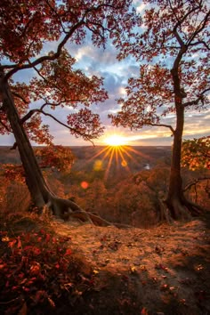 the sun shines brightly through the trees on top of a hill in an autumn scene