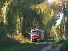 an old red and white bus is parked on the side of a dirt road next to trees