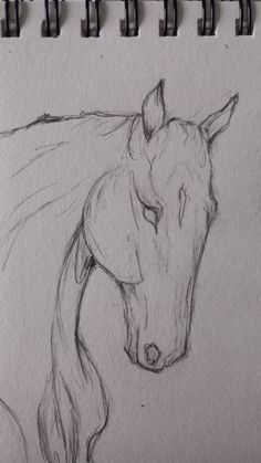 a pencil drawing of a horse's head