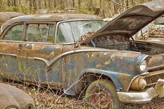 an old rusted out car sits in the woods