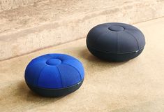 two black and blue poufles sitting on the ground