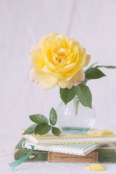 a yellow rose in a glass vase on top of books