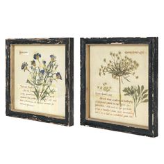 two framed pictures with flowers on them