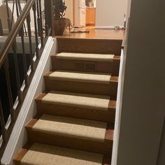 a stair case with carpeted steps leading up to a living room