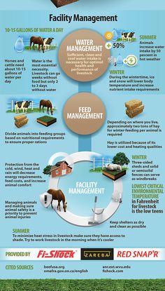 an info poster showing the different types of animals and their food sources, including water