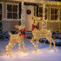 two lighted deer statues in front of a house with christmas lights on it's windows