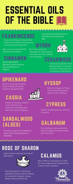 Oils Of The Bible, Frankincense Essential Oil Benefits, Healing Essential Oils, Essential Oil Remedy, Oil Remedies, Essential Oils Herbs, Essential Oils Health, Frankincense Myrrh, Essential Oil Benefits