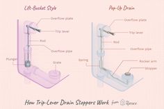 the parts of a toothbrush holder and how to use it for dental care or teethpaste