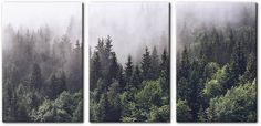 three panels with trees and fog in the background