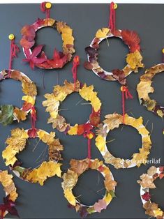 several wreaths made out of leaves hang on a gray wall with red and yellow ribbons