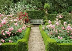 a garden filled with lots of flowers next to a wooden bench in the middle of it