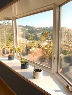 three potted plants sit on a window sill in front of a city view