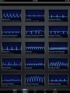 an image of sound waves displayed on the app store's webpage, which displays them in different colors and sizes