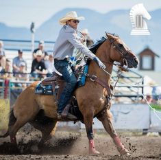 a man riding on the back of a brown horse