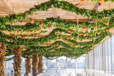 the inside of a building with fruit hanging from it's ceiling and plants growing all around