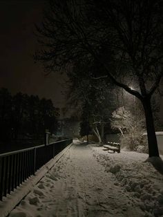 a snow covered sidewalk next to a tree at night