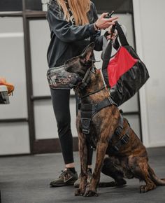 a woman in black jacket standing next to a brown and black dog wearing a harness