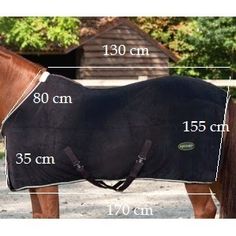 the measurements for a horse's blanket are shown in front of trees and buildings