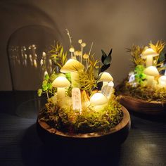 two wooden bowls filled with mushrooms and plants on top of a black tablecloth covered surface