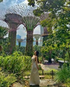 a woman in a white dress is looking at the trees and plants inside gardens by the bay