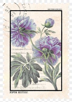 a postage stamp with purple flowers and green leaves on the bottom, in front of a white