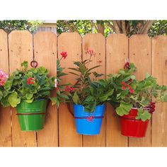 three colorful flower pots hanging on a wooden fence with red, orange and blue flowers in them