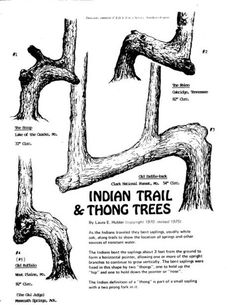 Thread Display, Tree Marker