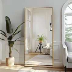 a living room with a large mirror on the wall and a potted plant next to it