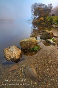 rocks on the shore of a lake with trees in the background and foggy sky