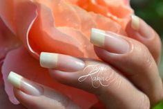 Acrygel Nails, Angel Energy, Gel Nails At Home, Pretty Nail Designs, Nail Growth, Nails Only, Summer Acrylic Nails