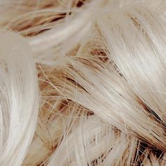 white hair is laying on top of each other