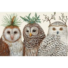 three owls are standing next to each other and one is wearing a pine cone on its head